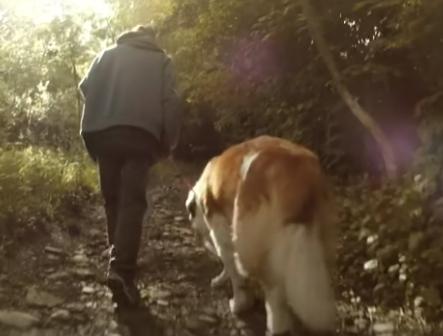 pau-dones-y-fideos-10