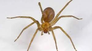 descarga - 2023-02-09T215712.950