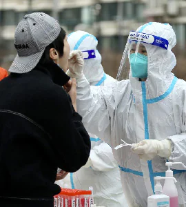 st3lsv88_china-coronavirus-test-afp_295x200_22_March_22