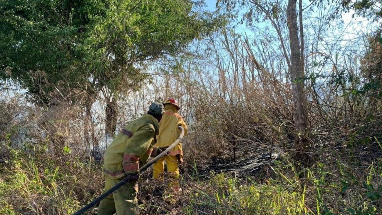 Foto 2. Medio Ambiente logró disminuir el siniestro porque se trazaron líneas de cortafuego para eliminar el combustible existente (1) (1)
