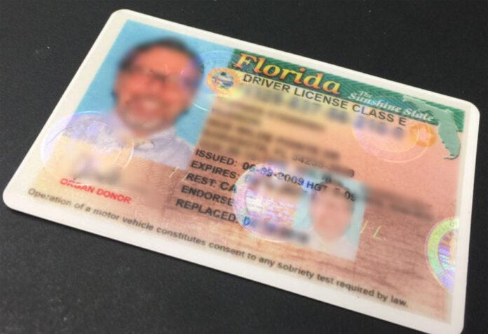 Florida-licencias-de-conducir-696x477