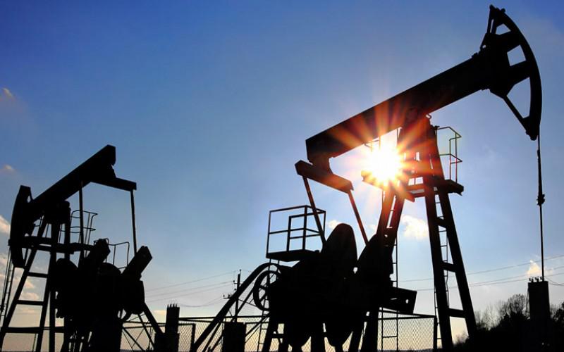 petroleo1-14