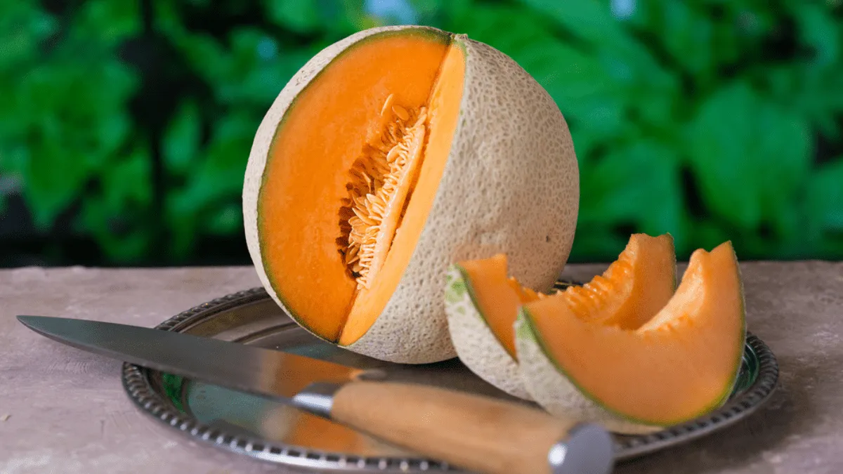 melon.png_554688468