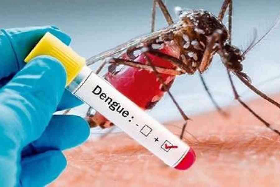 dengue9-1570650407 (1)
