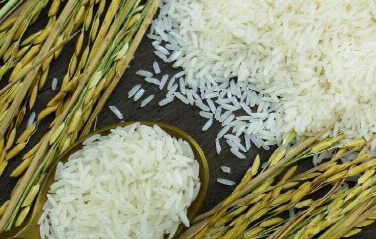 rice-arroz