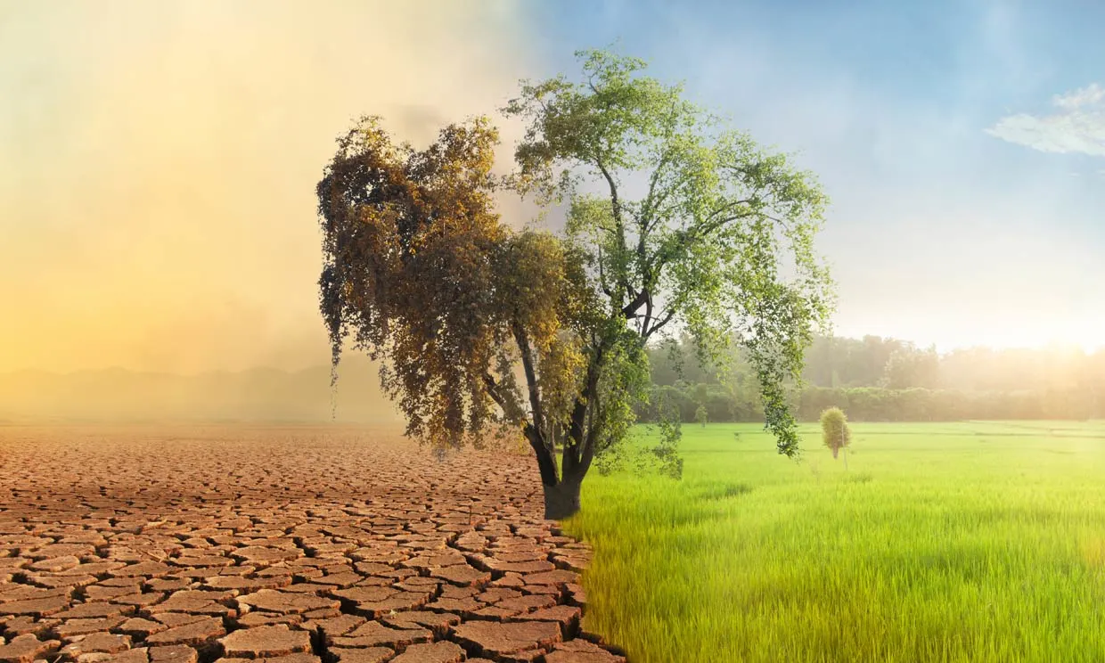 cambio-climatico-t.jpg