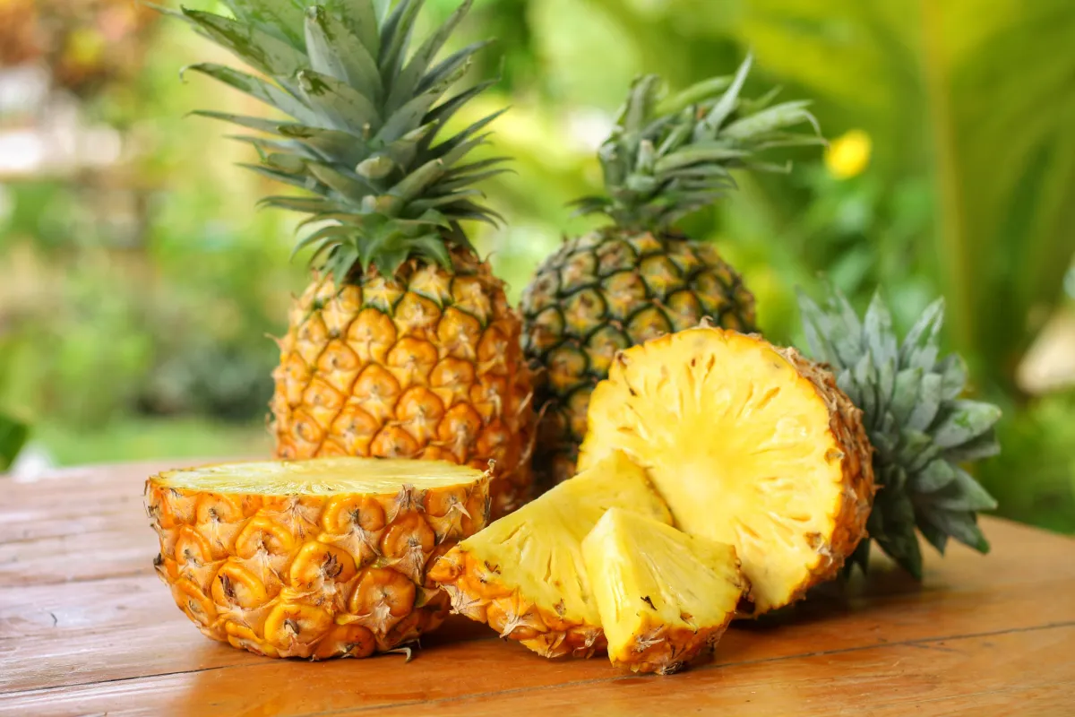 shutterstock_1503954347