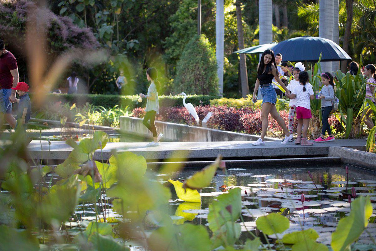 jardin-botanico-35