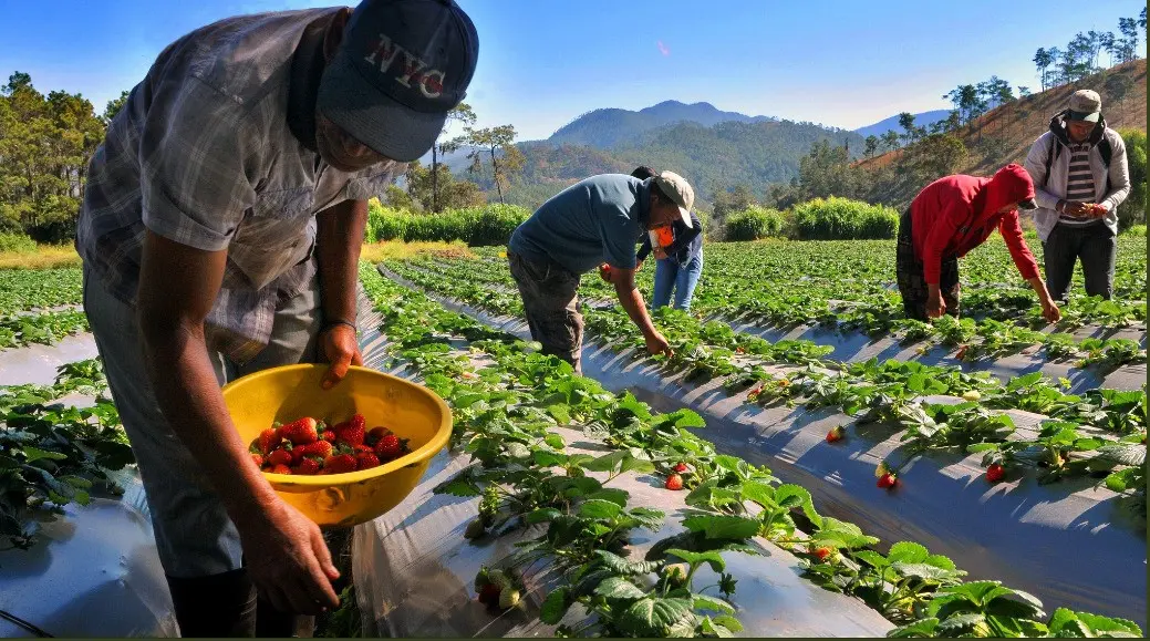 FAO-reune-a-Latinoamerica-y-el-Caribe-para-impulsar-la-agricultura-familiar