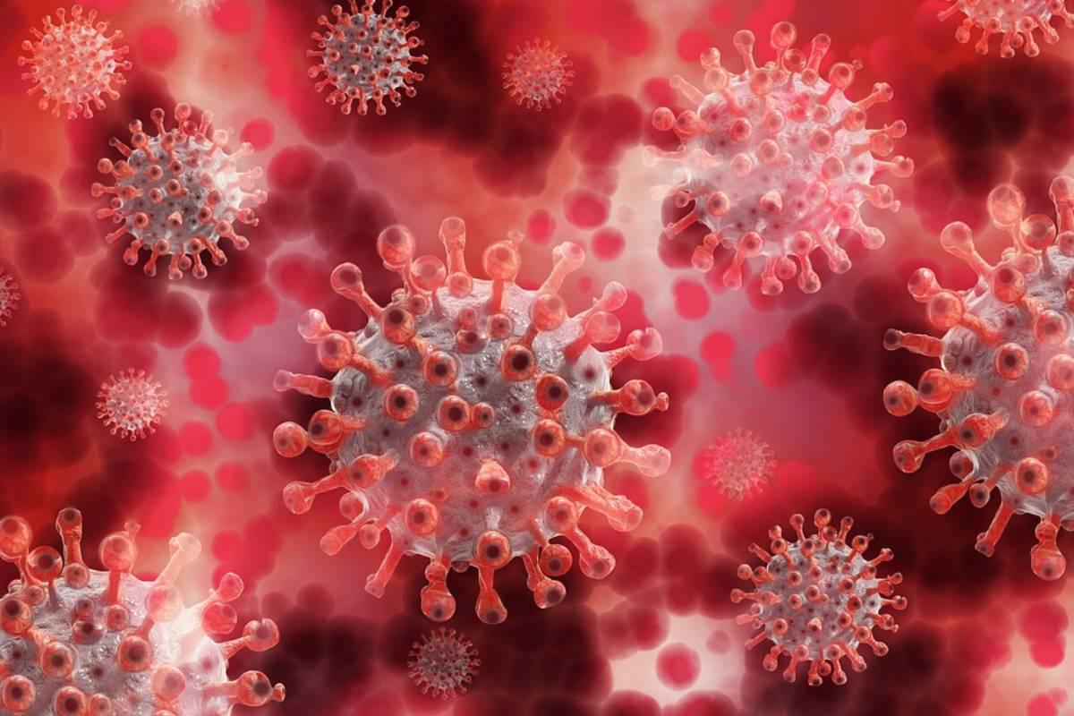 coronavirus