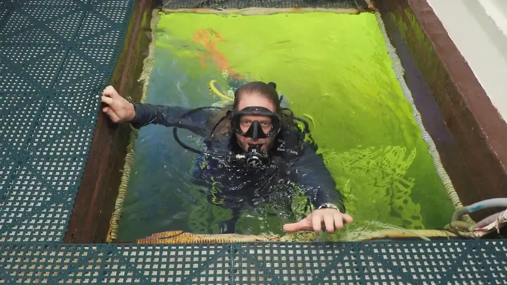 754435064_232275253_1706x960