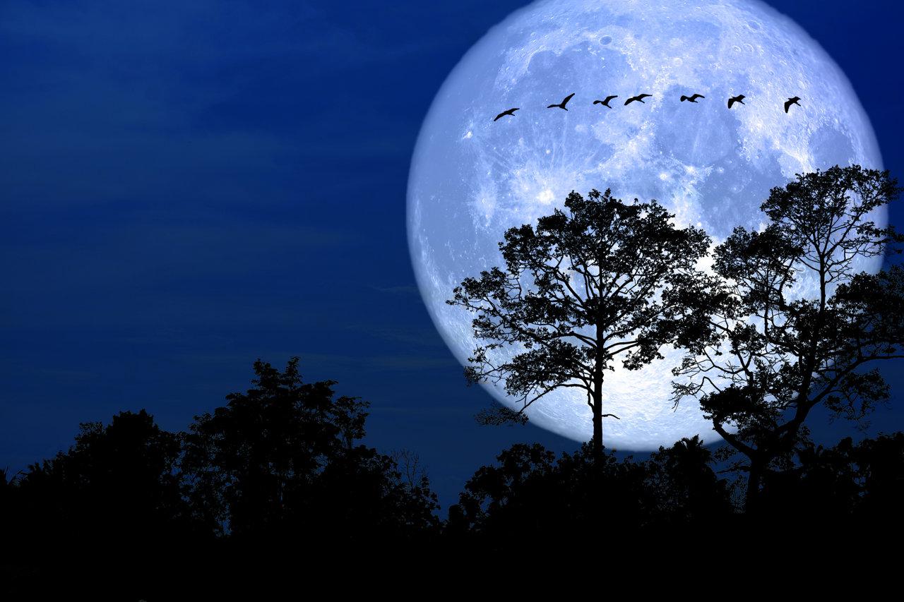 una-luna-vinculada-con-el-fin-del-invierno_016a1385_1127584008_230306154126_1280x853