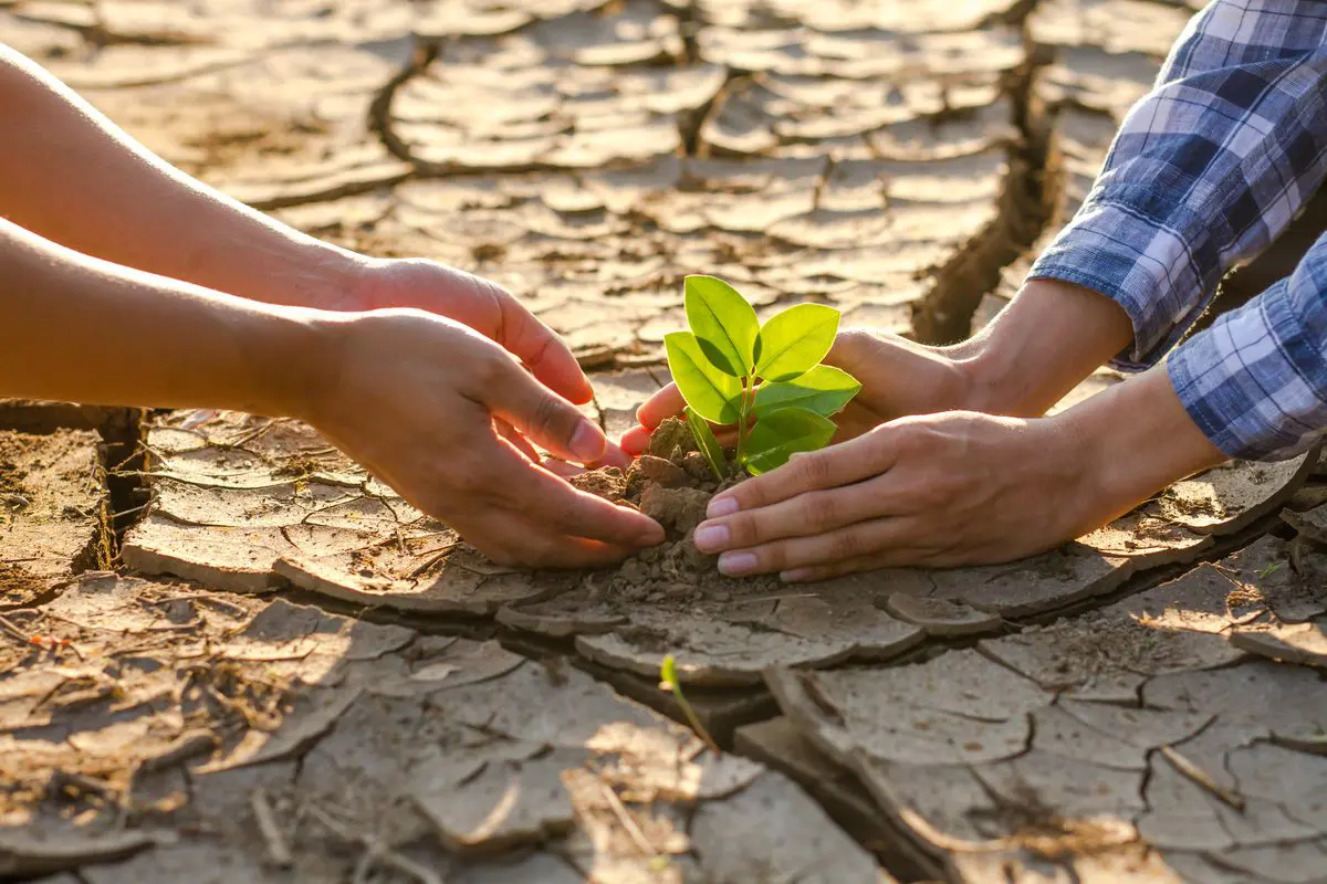 cambio-climatico
