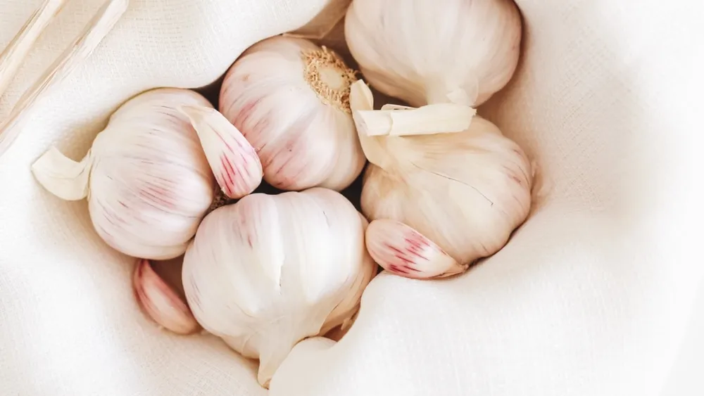 propiedades-beneficios-ajo_98