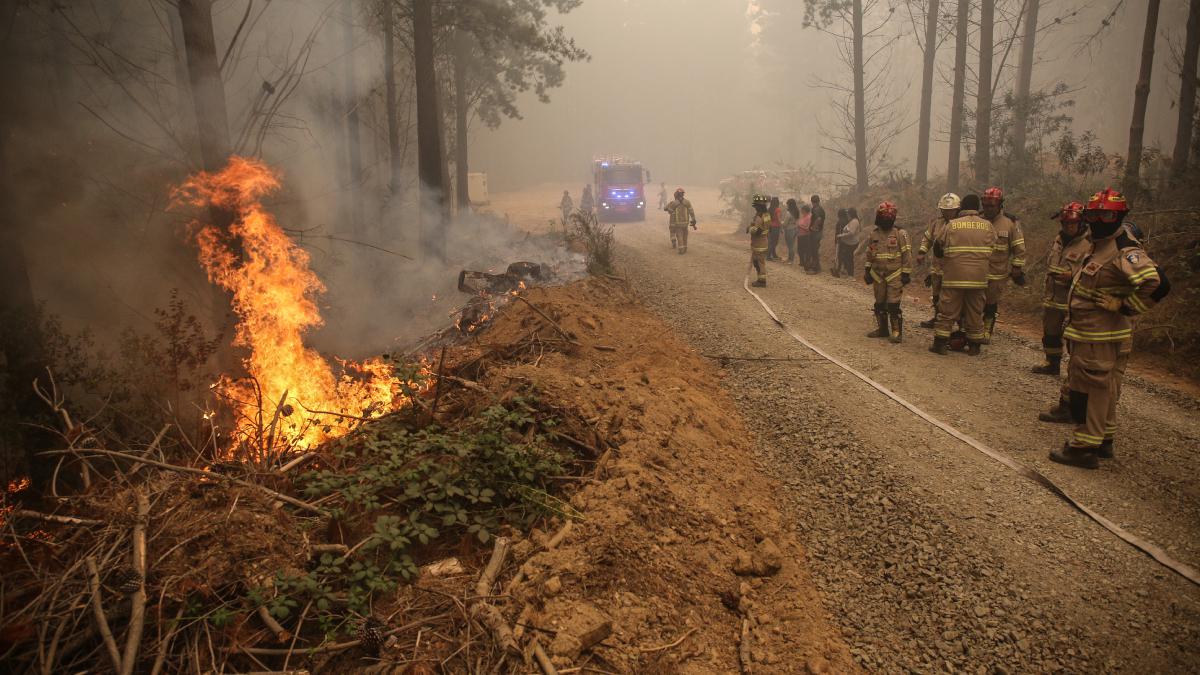 Incendios-Forestales
