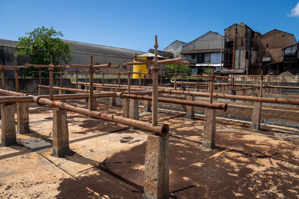 WhatsApp Image 2023-11-14 at 7.35.20 PM (2)