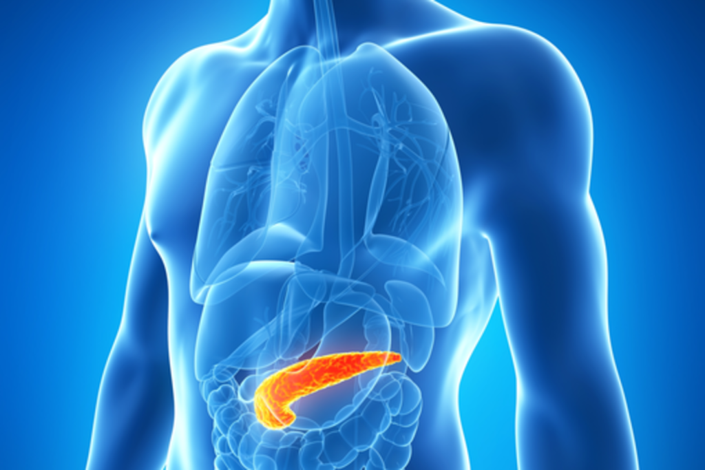 IAP36516pancreas-1024x683