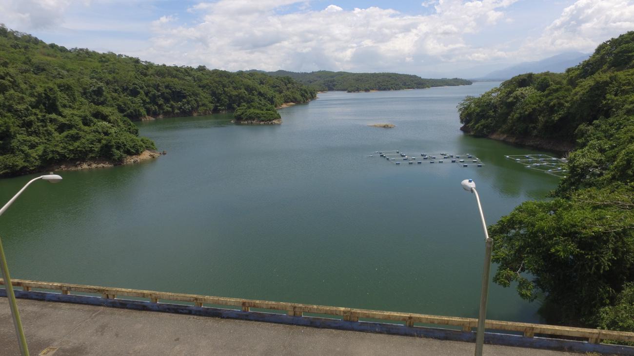 Presa Rincón (1)