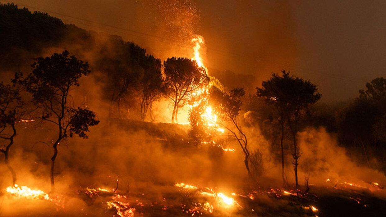 incendio-grecia-1-1jpg-132474