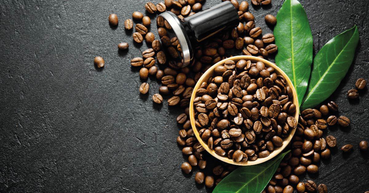 caracteristicas-cafe-arabica-cafes-el-criollo-destacada