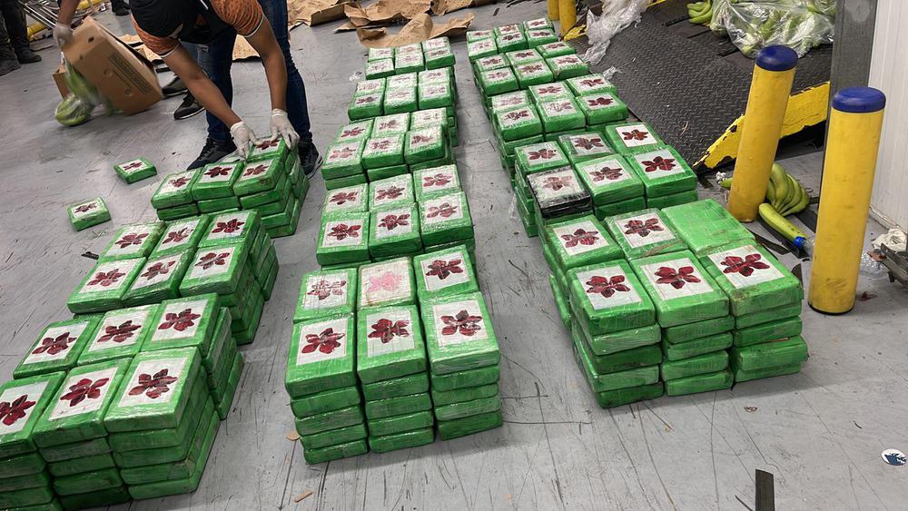 Ocupan-400-paquetes-de-presunta-cocaina-en-cargamento-de-guineos
