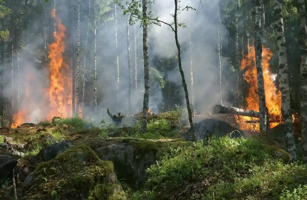 Incendio-forestal