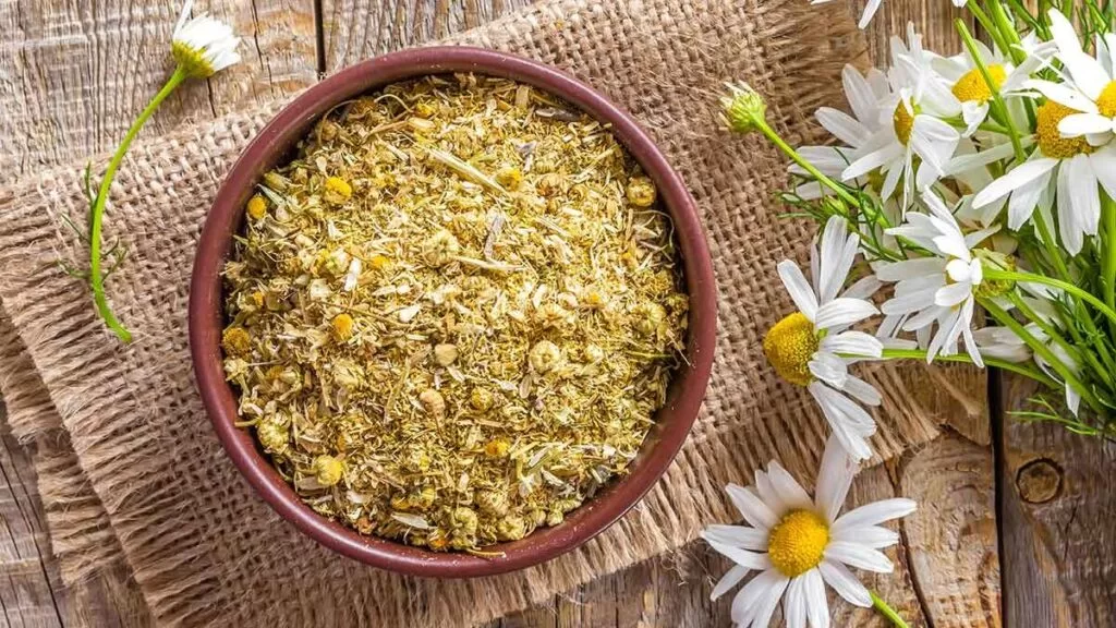 tipos-de-manzanilla-edited-1024x576-1-jpg