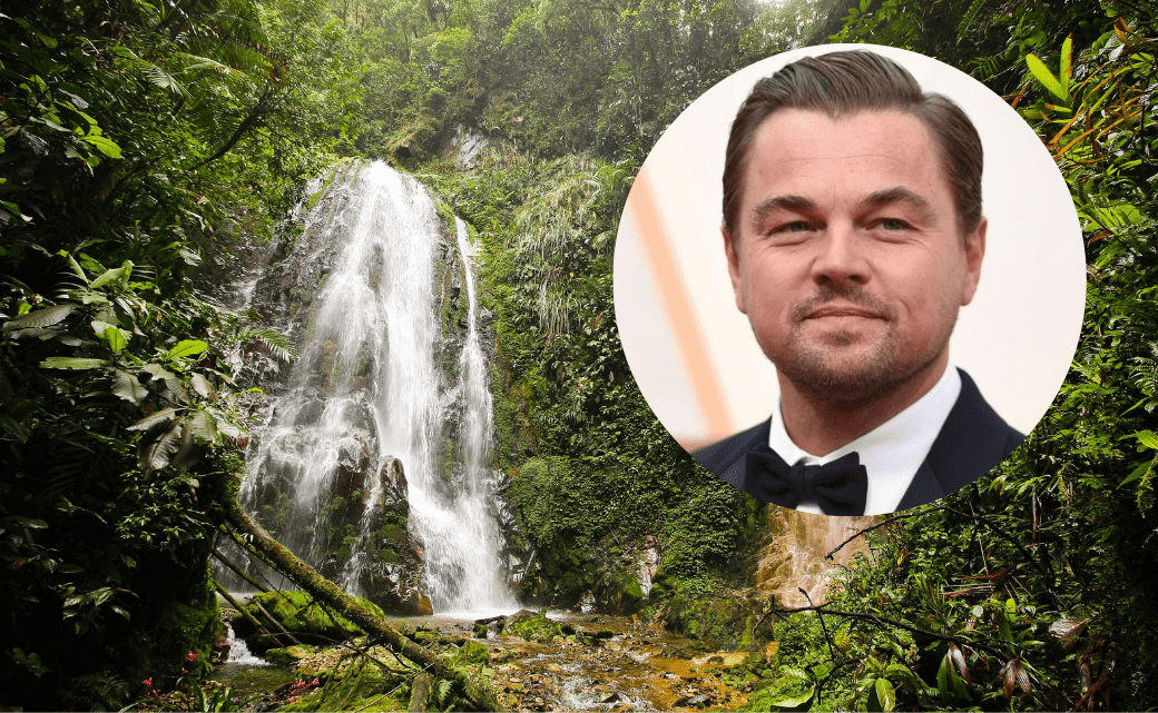 leonardo-canva-compriido