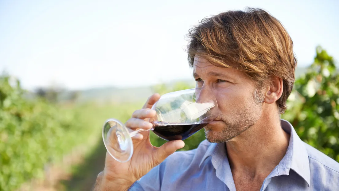 Vino