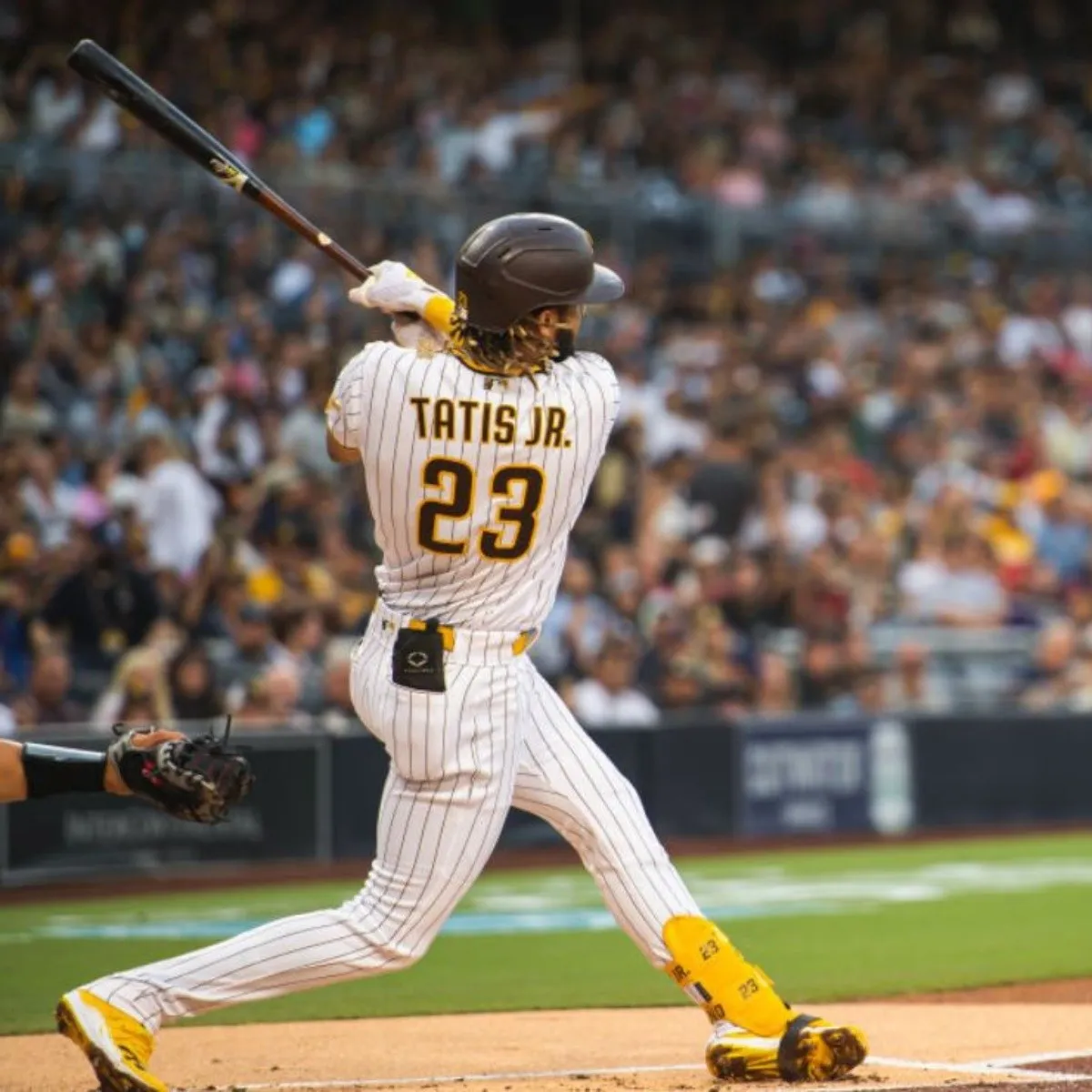 fernando_tatis_jr_x76x.jpg_1199923512