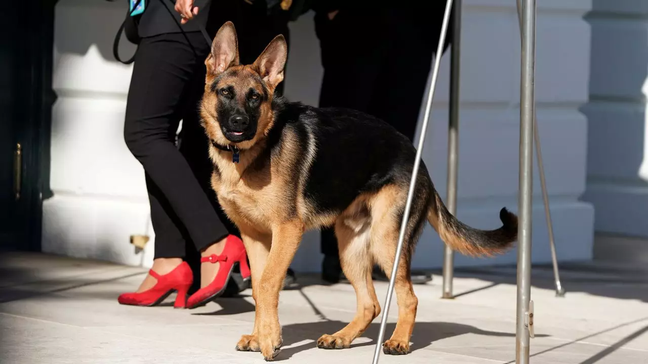 230926145632-01-commander-dog-joe-biden-031322