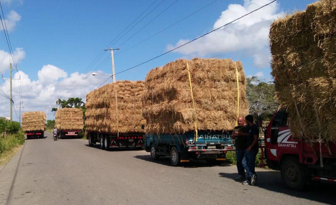 PACAS-1140x694