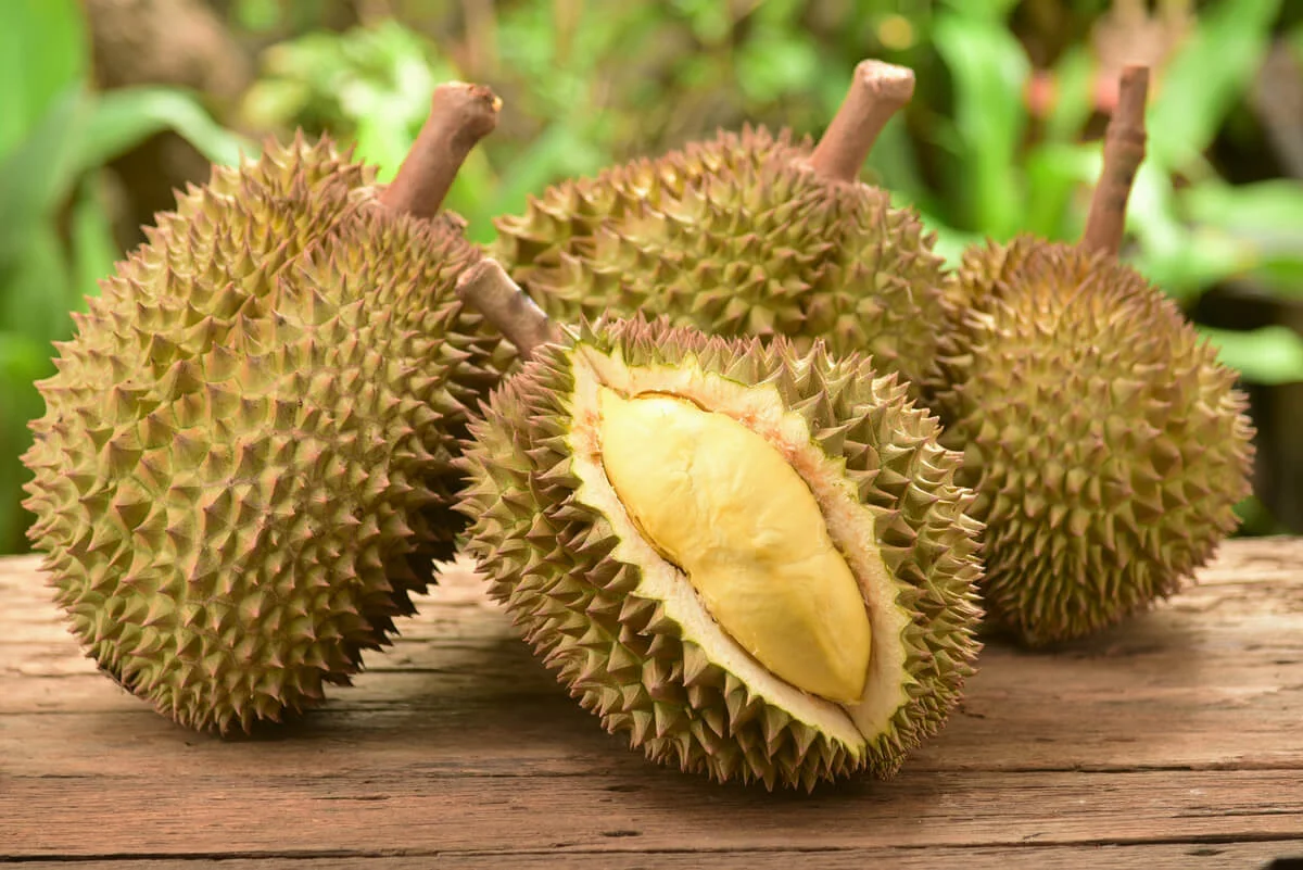 durian-abierto