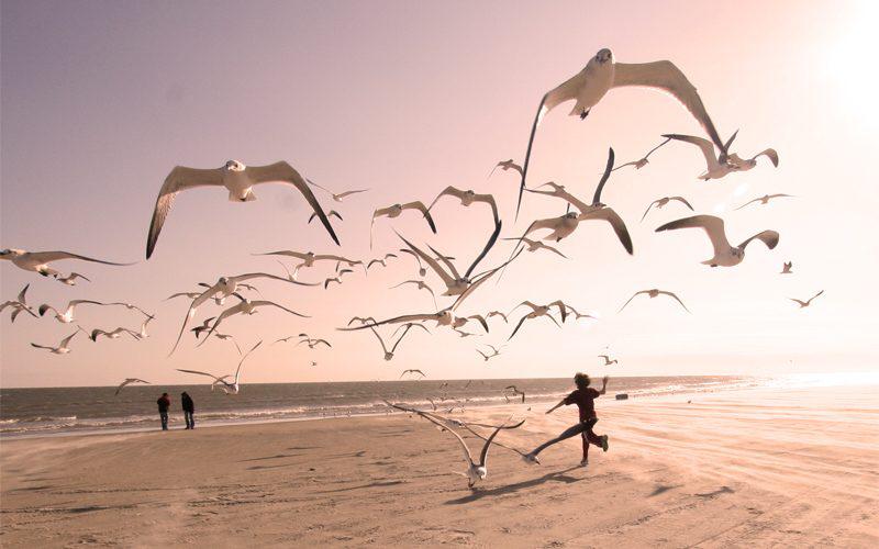 tiempo-libre-800x500