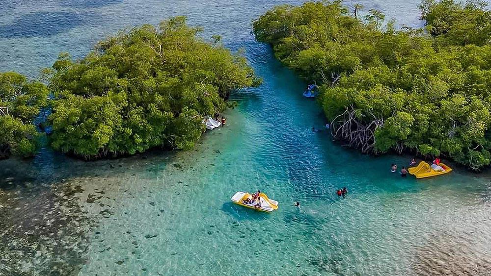 bocachica123