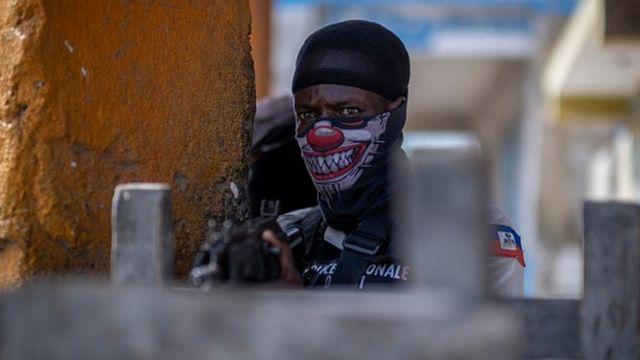 _126287324_haitipek