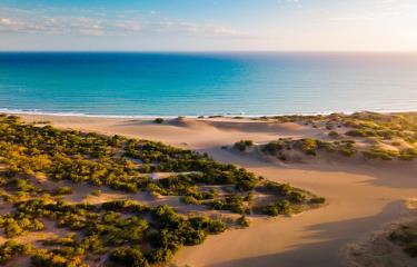 shutterstock-1476306884_14507001_20200805165440-focus-0-0-375-240