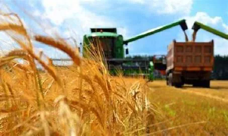 multimedia.miniatura.a8934a1ce0bd78a0.4f4950202831295f6d696e6961747572612e77656270