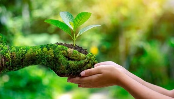 Dia-de-Educacion-Ambiental-26-enero-