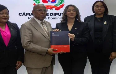 crop-w5364-h3577-proyecto-de-ley-mirabal-establece-sanciones-por-violencia-vicaria-00418d11-focus-0-0-375-240
