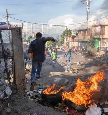 12polgreen1-articleLarge-e1700164886848