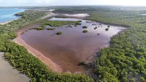 images (5)