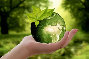 11-01_dia-mundial-ecologia