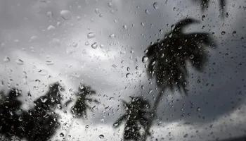 multimedia.normal.b1d0567170b3724a.MjAyMjExMTcxODE4NDIxX25vcm1hbC53ZWJw