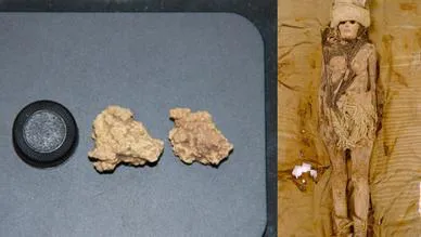 8ffe143e-60f2-49a3-93b4-06335e27c0f3_portada-ep-libre-aspect-ratio_default_0