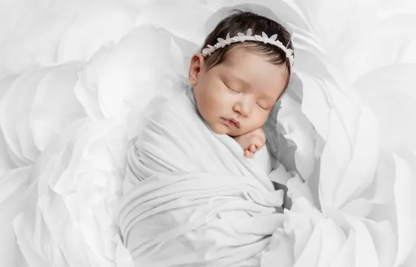 Captura-de-pantalla-2026-01-27-202335