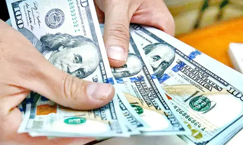 Dolares