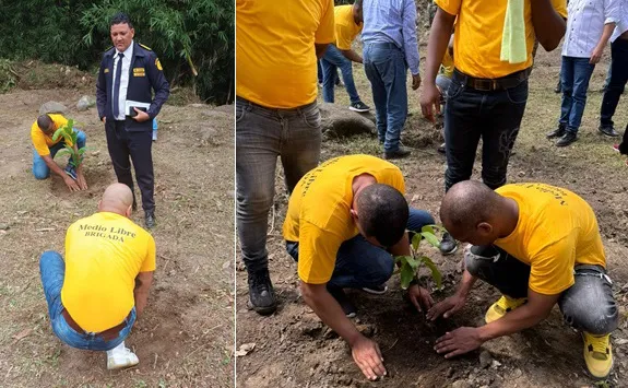 Privados-de-libertad-durante-la-reforestacion1