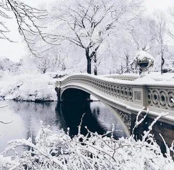 Navidad-Blanca-en-NY-3-360x352