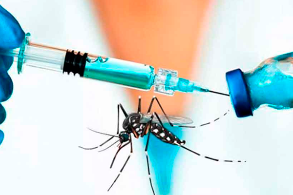 chikungunya